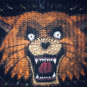 Meet your Posher, Dylan